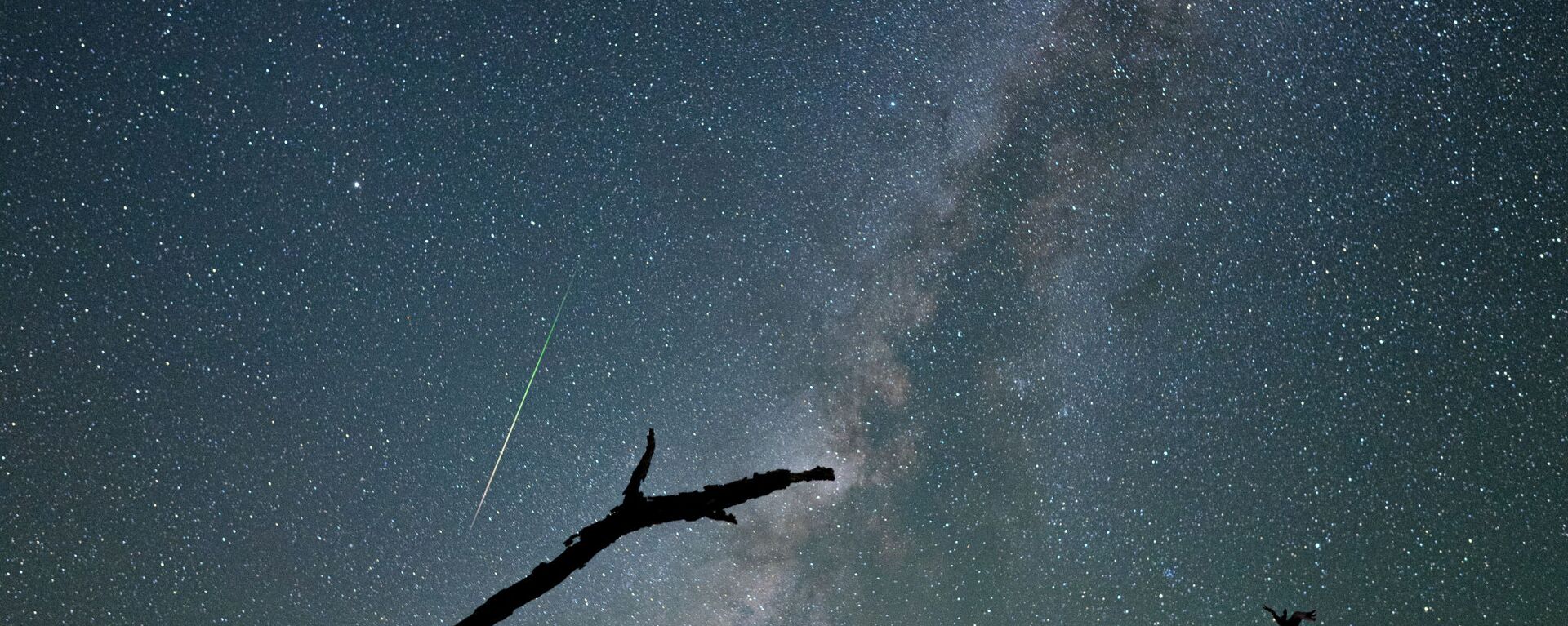 Perseid Meteor Shower Lights Up Night Sky
 - Sputnik International, 1920, 12.08.2021