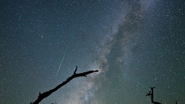 Perseid Meteor Shower Lights Up Night Sky
 - Sputnik International