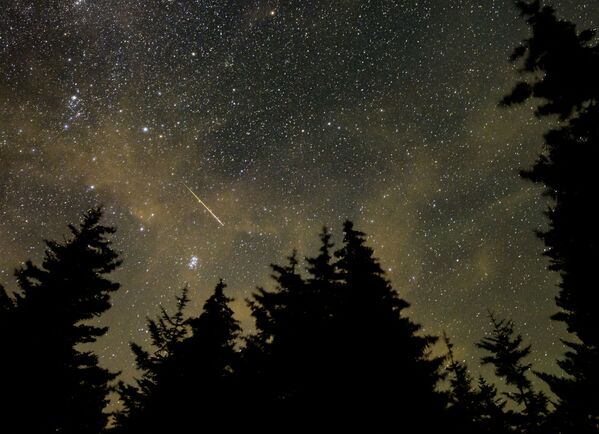 This NASA handout photo shows a 30 second exposure, as a meteor streaks across the sky during the annual Perseid meteor shower on 11 August 2021, in Spruce Knob, West Virginia.  - Sputnik International
