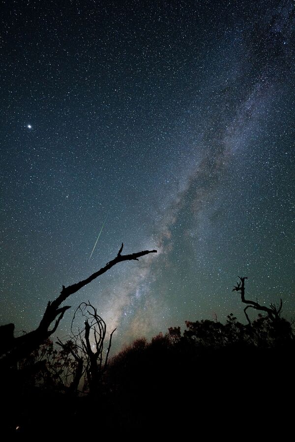 Milky Way and Perseid meteor over Mauna Kea, Hawaii, the United States. - Sputnik International