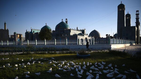 A man walks as pigeons are seen in the courtyard of Hazrat-e-Ali shrine or Blue Mosque, in Mazar-i-Sharif on June 9, 2020. - Sputnik International