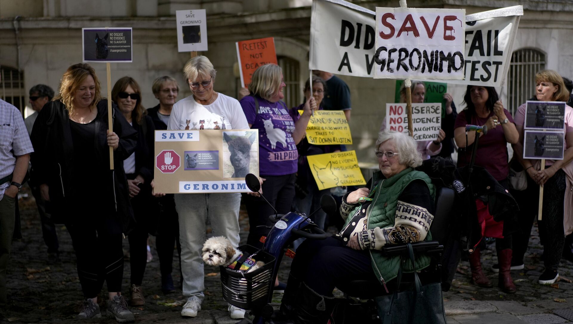 Animal rights protesters hold placards outside Britain's Department for Environment, Food and Rural Affairs (DEFRA), in London, Monday, Aug. 9, 2021, to try to save an alpaca named Geronimo from being euthanised - Sputnik International, 1920, 17.08.2021