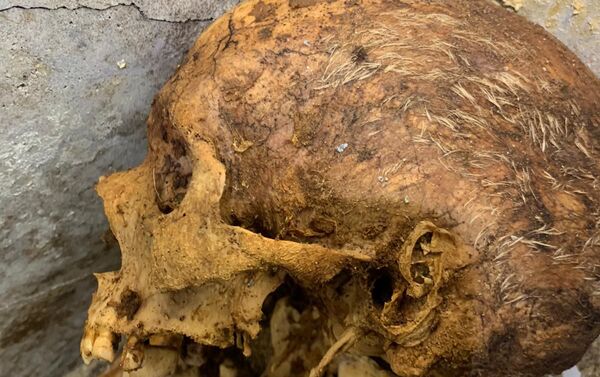 A closeup photo of the skull of human remains found in a tomb in the ancient Roman city of Pompeii - Sputnik International