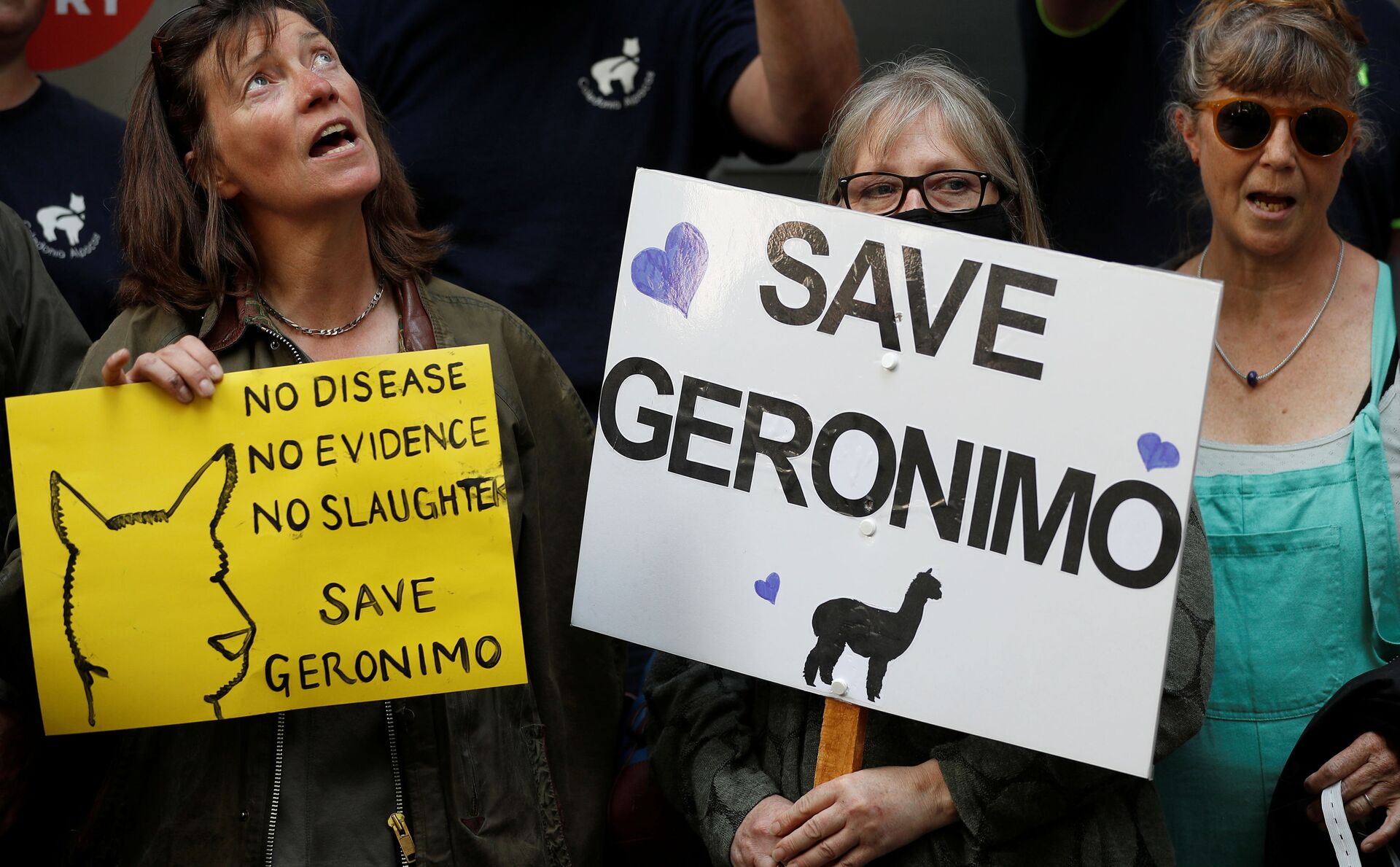 Protesters demonstrate against the ruling that Geronimo, an Alpaca believed to be carrying TB, has to be euthanised, in London, Britain, August 9, 2021 - Sputnik International, 1920, 07.09.2021