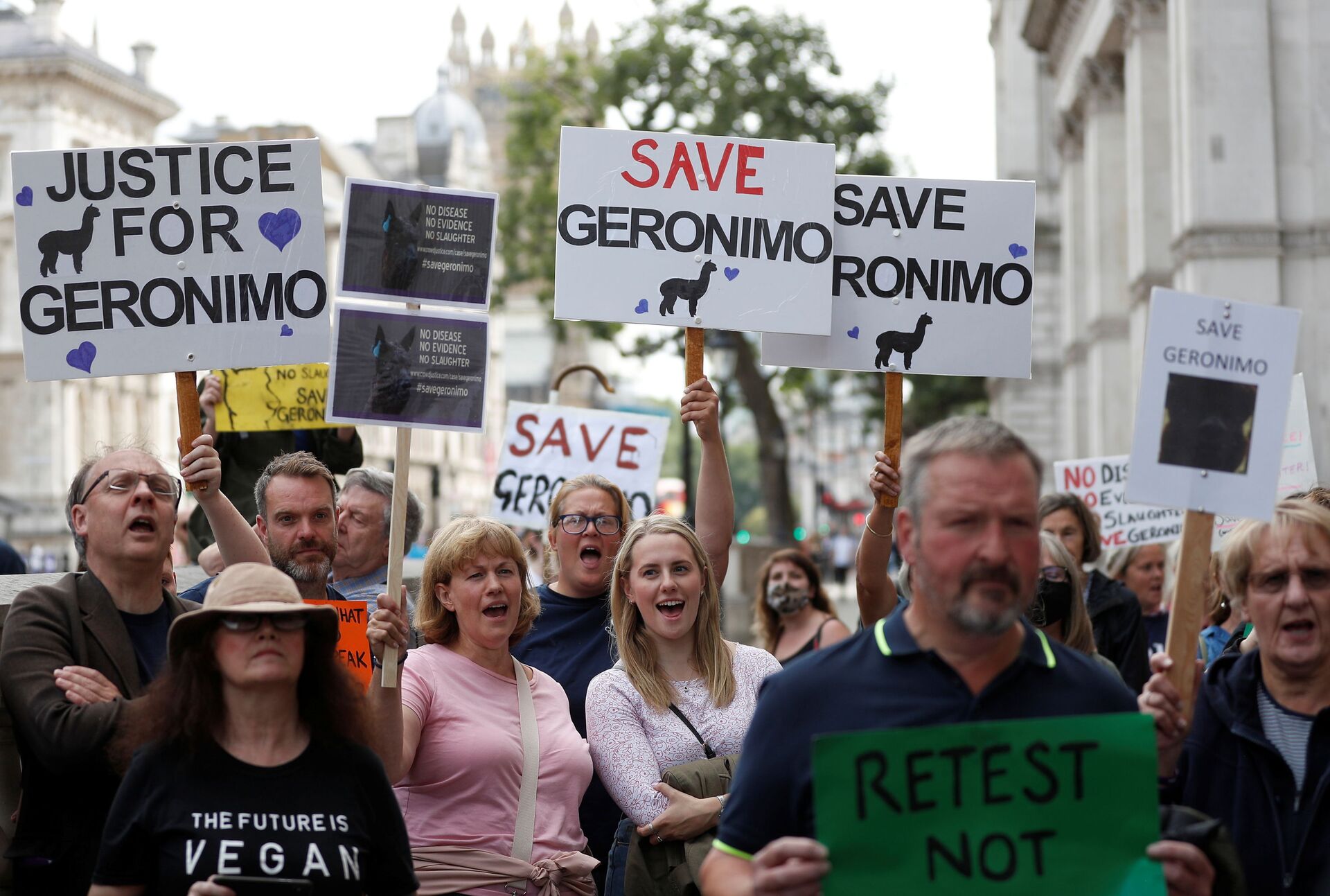 Protesters demonstrate against the ruling that Geronimo, an Alpaca believed to be carrying TB, has to be euthanised, in London, Britain, August 9, 2021 - Sputnik International, 1920, 07.09.2021