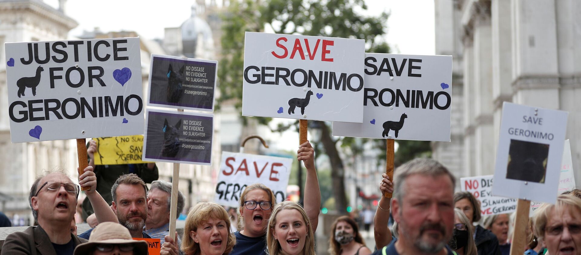 Protesters demonstrate against the ruling that Geronimo, an Alpaca believed to be carrying TB, has to be euthanised, in London, Britain, August 9, 2021 - Sputnik International, 1920, 31.08.2021