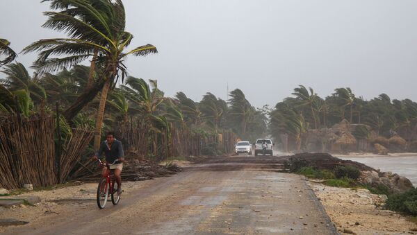 A man rides a bike on a road scattered with debris after Hurricane Grace made landfall on the Yucatan Peninsula, in Tulum, Mexico, August 19, 2021. - Sputnik International