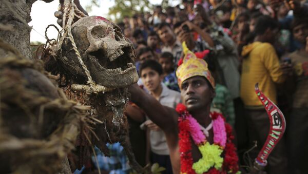 An Indian Hindu devotee hangs a human skull from a tree during a brief ceremony marking Shiva Gajan, in Burdwan district, east of Kokata,in West Bengal, India, Thursday, April 12, 2012 - Sputnik International