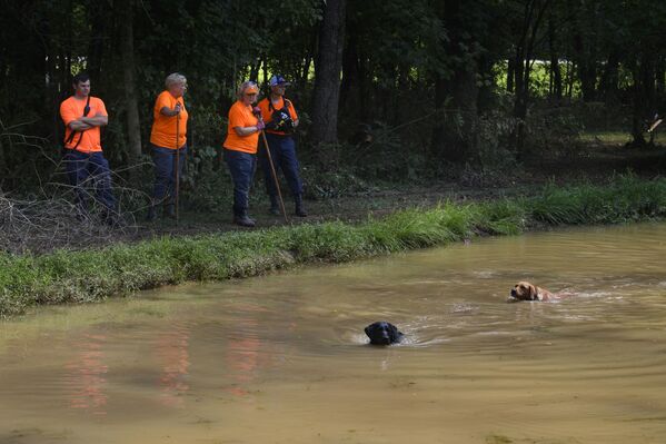 Cadaver dogs work along a creek after recent flash flooding left many people missing, Monday, 23 August 2021, in Waverly, Tenn. - Sputnik International