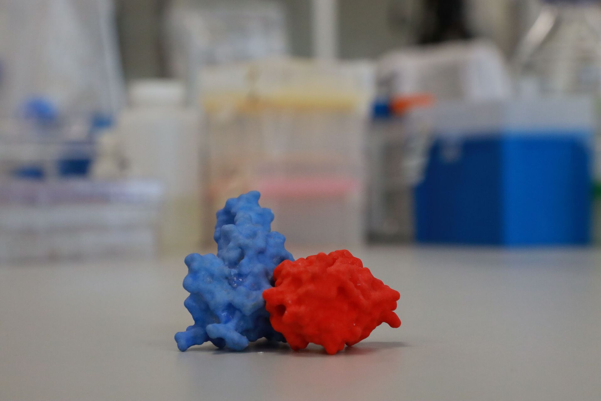 An enlarged 3D model of a spike protein (blue) connected to an antibody (red) sits on a table in VIB-UGent Center, amid the coronavirus disease (COVID-19) pandemic, in Ghent, Belgium August 23, 2021 - Sputnik International, 1920, 07.09.2021