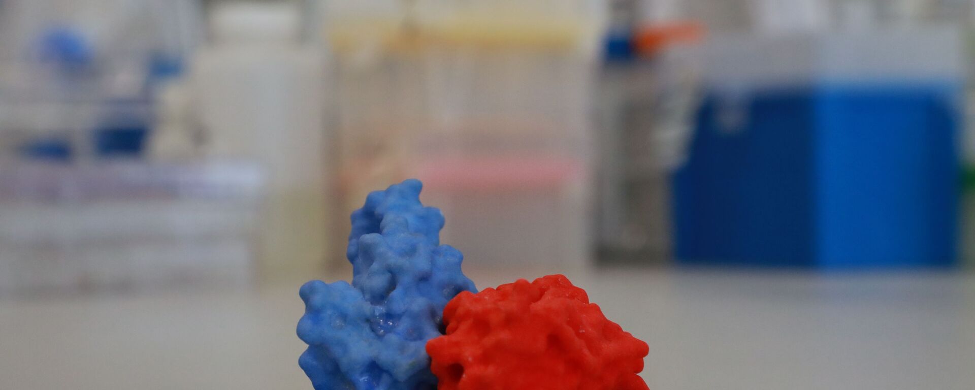 An enlarged 3D model of a spike protein (blue) connected to an antibody (red) sits on a table in VIB-UGent Center, amid the coronavirus disease (COVID-19) pandemic, in Ghent, Belgium August 23, 2021 - Sputnik International, 1920, 09.01.2022