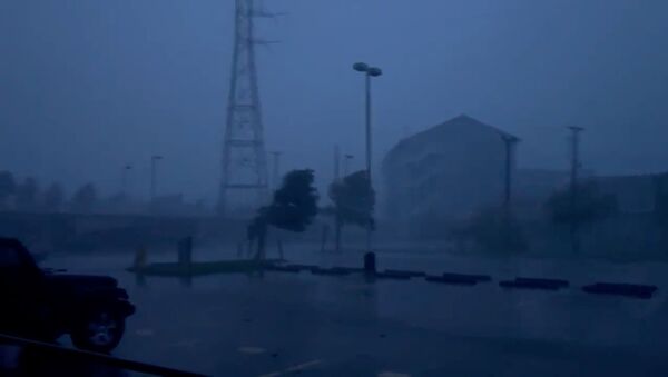 Trees sway amidst heavy rain during Hurricane Ida, which made landfall as a fierce Category 4 storm, in Bywater, New Orleans, Louisiana, U.S. August 29, 2021, in this still image taken from video provided on social media. - Sputnik International