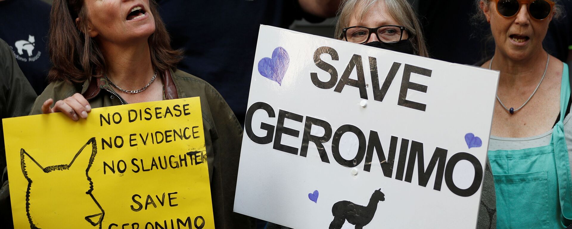 Protesters demonstrate against the ruling that Geronimo, an Alpaca believed to be carrying TB, has to be euthanised, in London - Sputnik International, 1920, 31.08.2021