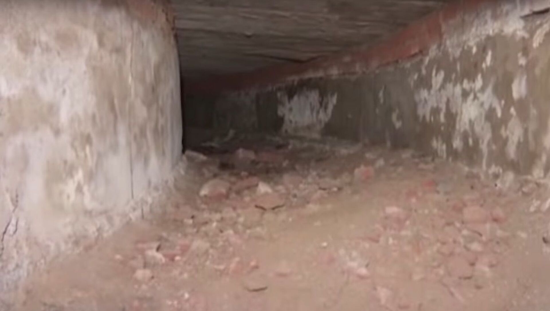 Secret tunnel to Red Fort used by British unearthed inside Delhi Assembly - Sputnik International, 1920, 03.09.2021