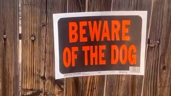 Beware of the dogs - Sputnik International