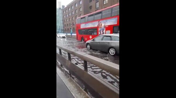  - Sputnik International