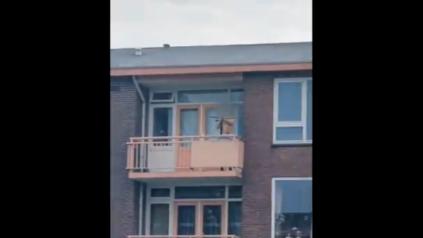 Man with a crossbow on a balcony in the Netherlands - Sputnik International