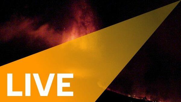  - Sputnik International