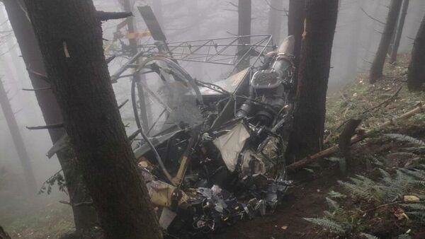  - Sputnik International