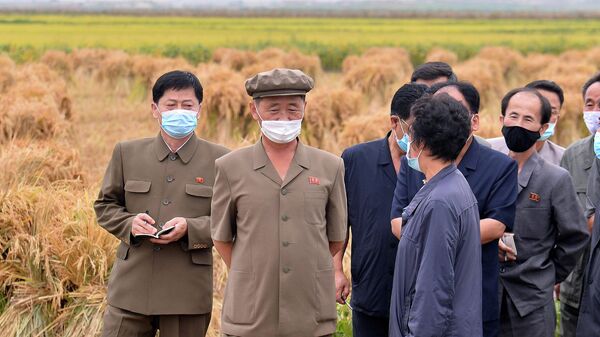 North Korea's Premier Kim Tok Hun inspects agricultural and light industrial fields - Sputnik International