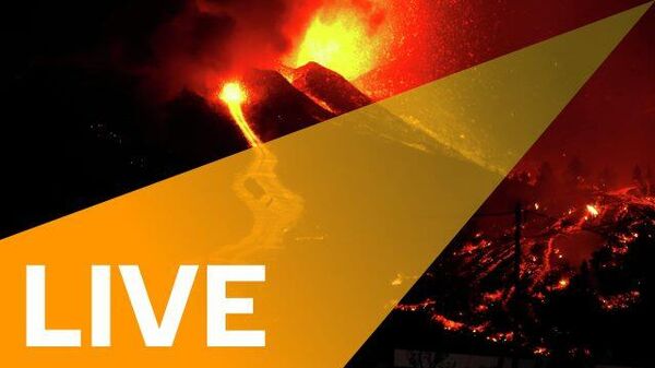  - Sputnik International