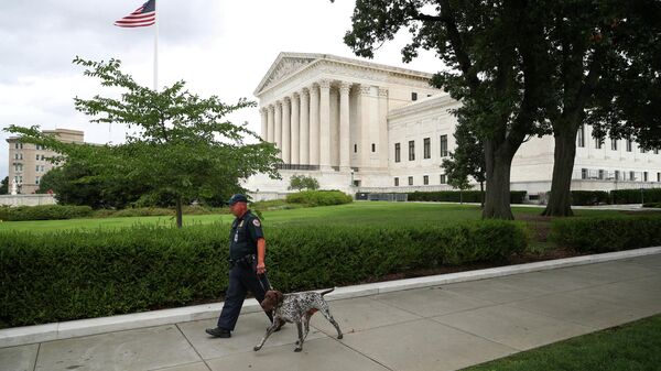 A U.S. Capitol Police Officer walks with a dog near the U.S. Supreme Court in Washington, U.S., September 1, 2021. - Sputnik International