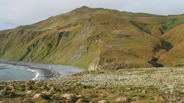 View over Macquarie Island bluffs (with a small view of King penguins on the beach below)
 - Sputnik International