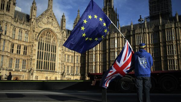 Pro-European Union,(EU), anti-Brexit demonstrator Steve Bray holds the EU and UK flags outside the Houses of Parliament, in central London on January 22, 2018 - Sputnik International