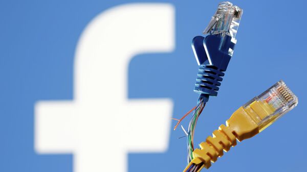 Broken Ethernet cables are seen in front of displayed Facebook logo in this illustration taken October 5, 2021 - Sputnik International