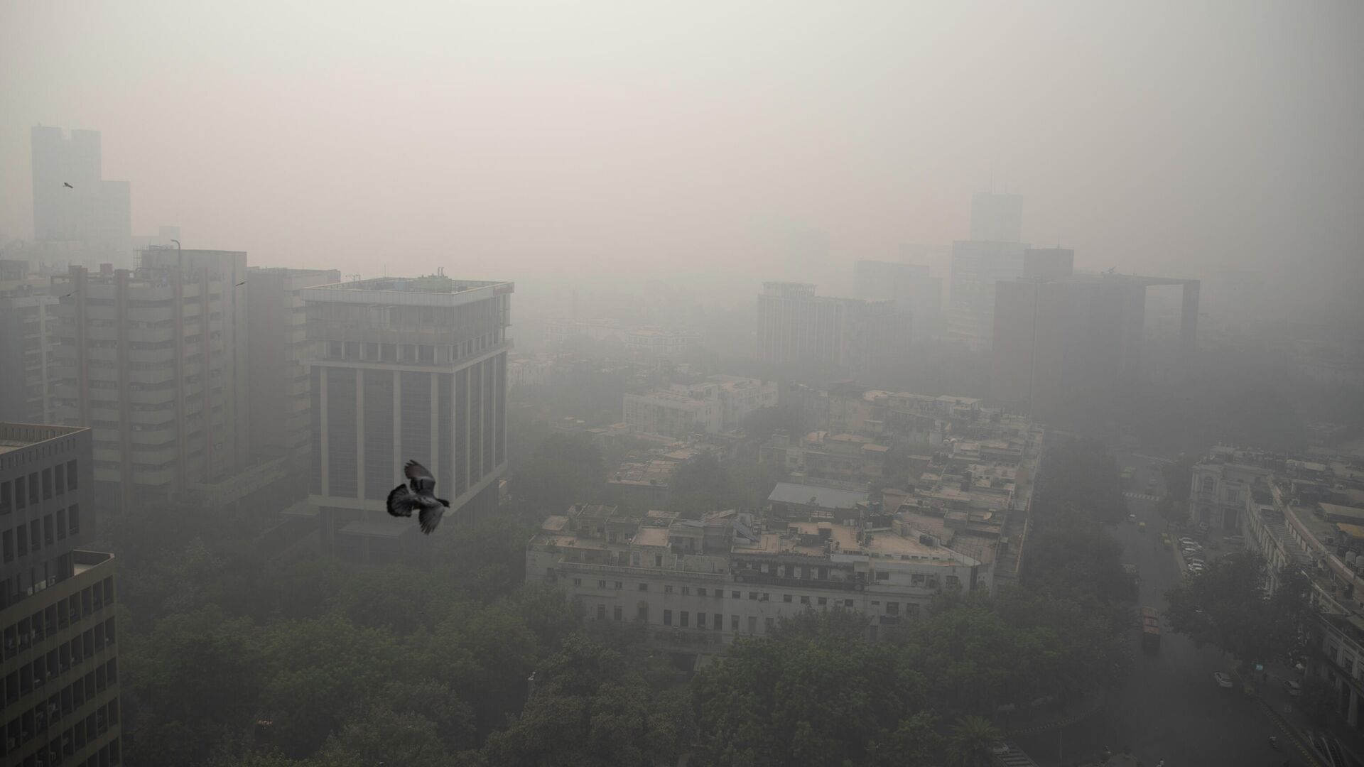 Smog envelopes the skyline in New Delhi, India, Wednesday, Nov. 4, 2020 - Sputnik International, 1920, 01.12.2021