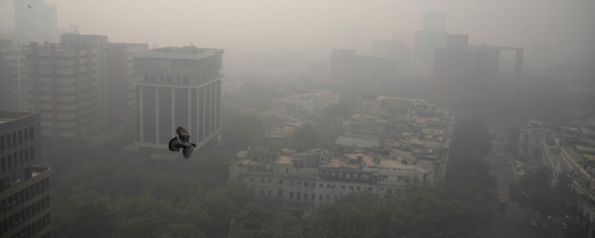 Smog envelopes the skyline in New Delhi, India, Wednesday, Nov. 4, 2020 - Sputnik International, 1920, 13.10.2021