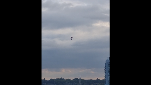 A screenshot from the video showing a UFO spotted over South London on October 12, 2021. - Sputnik International