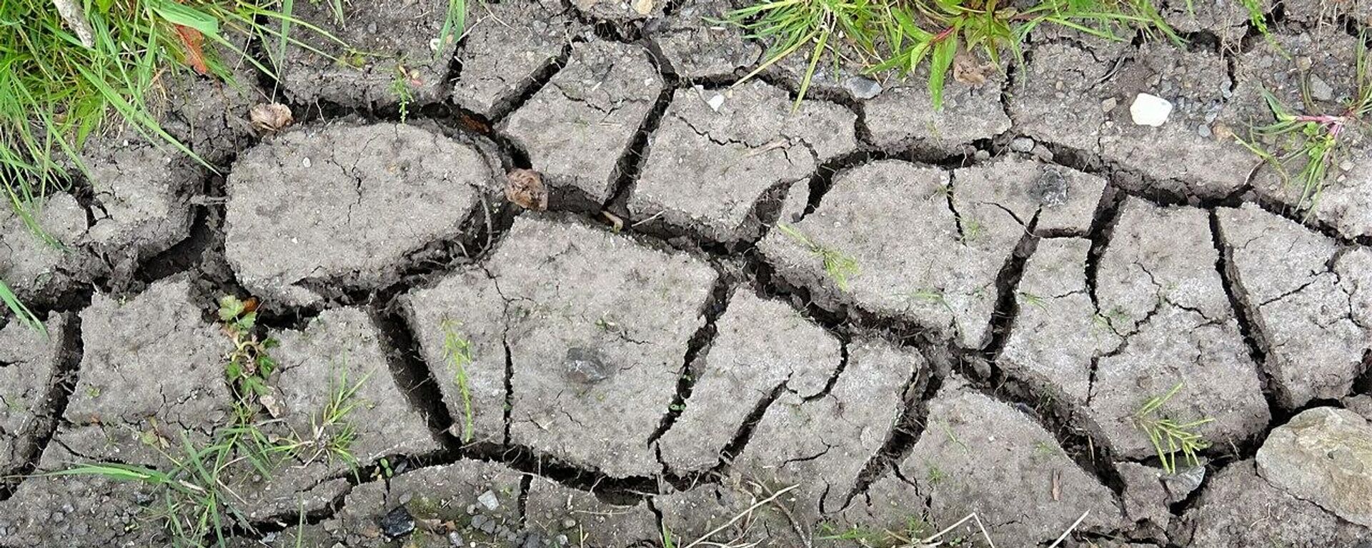 Cracked earth in a ditch after prolonged drought. 2020. Kilmaurs parish - Sputnik International, 1920, 19.10.2021