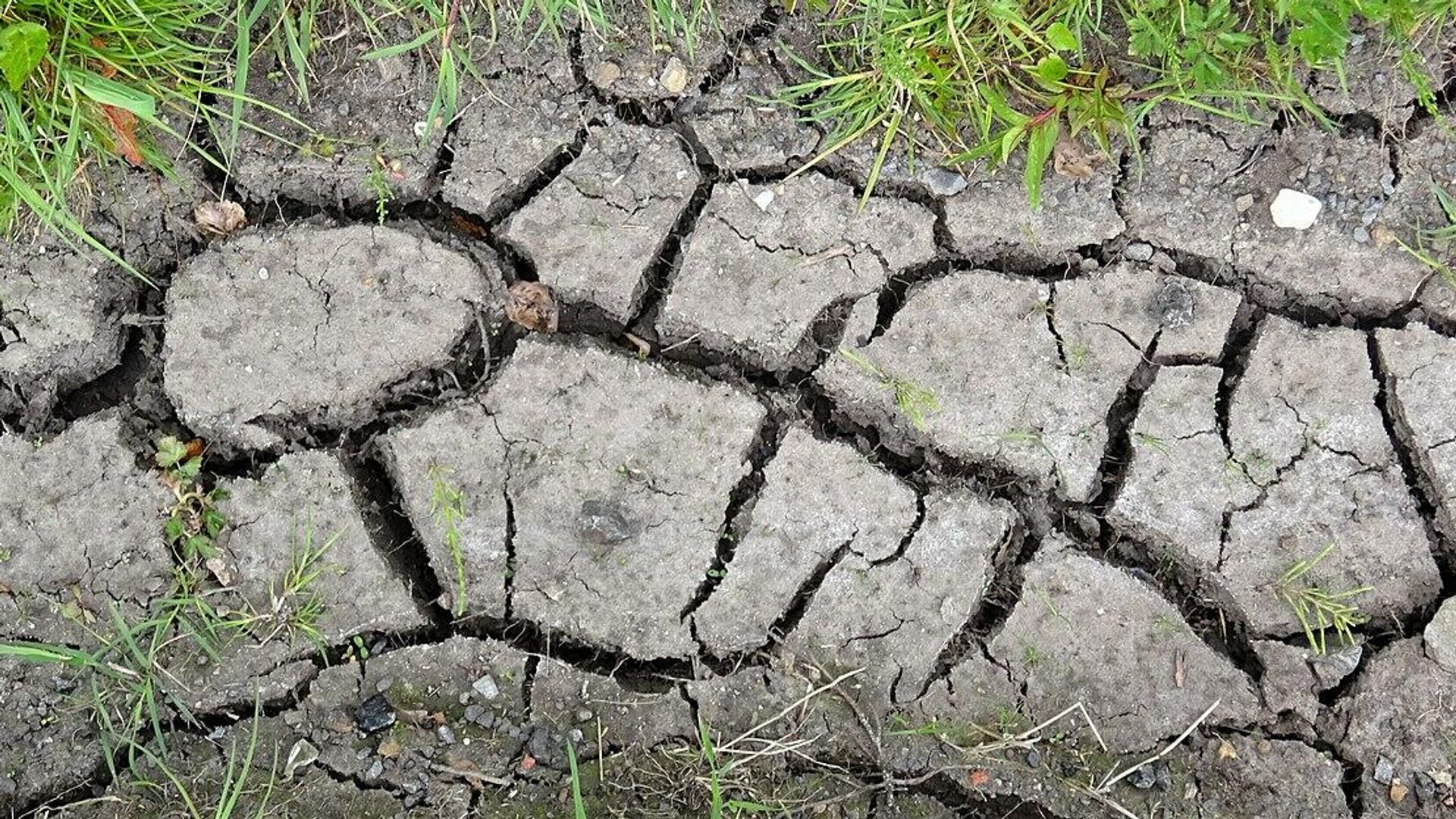 Cracked earth in a ditch after prolonged drought. 2020. Kilmaurs parish - Sputnik International, 1920, 25.03.2022