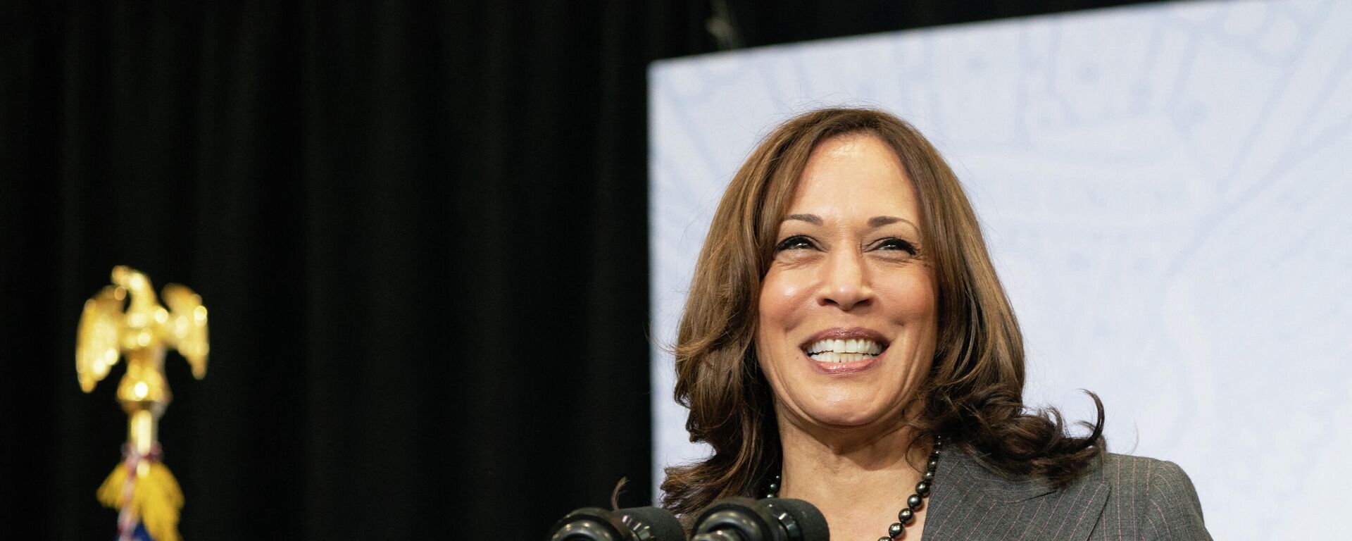 US Vice President Kamala Harris speaks about the Bipartisan Infrastructure Deal and the Build Back Better Agenda at the Edenwald YMCA on October 22, 2021 in the Bronx Borough of New York.  - Sputnik International, 1920, 03.11.2021
