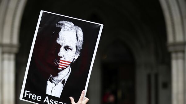 A supporter of Wikileaks founder Julian Assange protests outside the Royal Courts of Justice in London, Britain, October 27, 2021. REUTERS/Henry Nicholls - Sputnik International