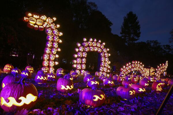 A mythical animal made of illuminated carved pumpkins is displayed during &quot;The Great Jack O&#x27;Lantern Blaze&quot; at Van Cortlandt Manor on 27 October 2021 in Croton-on-Hudson, New York, ahead of Halloween. - Sputnik International