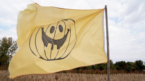 A pumpkin flag displayed above a corn maze at The Great Pumpkin Patch in Aurthur, Illinois, U.S. October 23, 2021. - Sputnik International