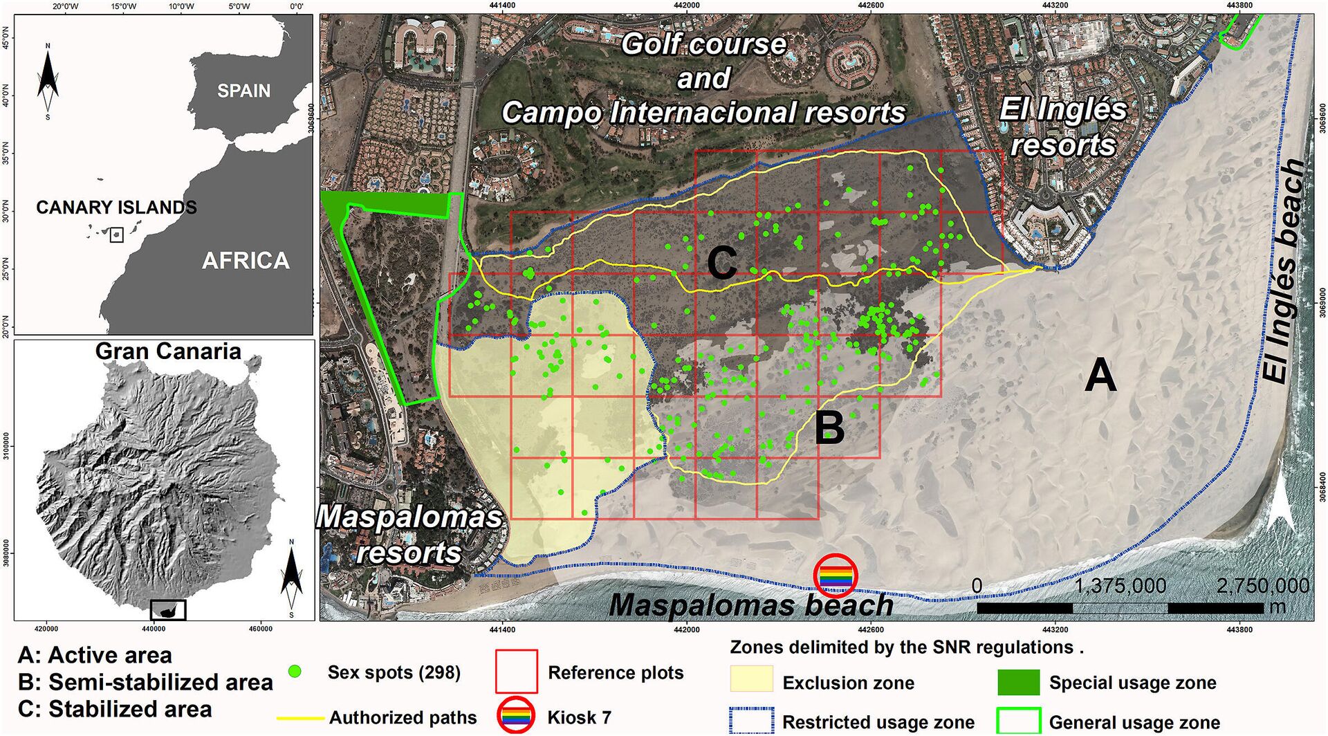 Fig. 1. Study area. Location of the sex spots (green points) on referenced plots used for fieldwork (red array), mainly located in the stabilized (C) and semi-stabilized (B) areas of the dunefield, kiosk 7 (red circle), authorized paths (yellow lines) and usage zones delimited by the DMSNR regulations.  - Sputnik International, 1920, 07.11.2021