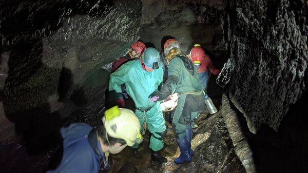 South & Mid Wales Cave Rescue Team - Sputnik International