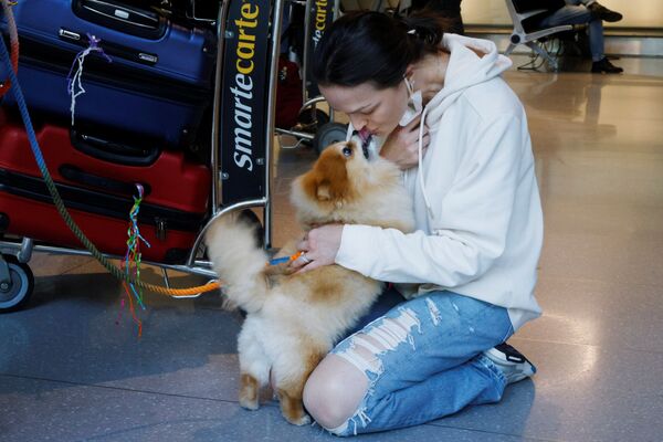 Roberta Pavei Gibson is greeted by her dog Choo Choo after arriving on a flight from London at Logan International Airport as the US reopens air and land borders to vaccinated travellers in Boston, Massachusetts, 8 November 2021. - Sputnik International