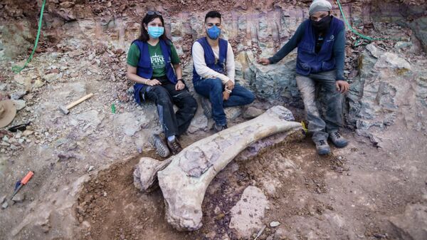 Palaeontologists from the Federal University of Santa Maria pose for a picture next to a giant dinosaur bone found in Divinopolis, Maranhao state, Brazil, June 10, 2021. Picture taken June 10, 2021 - Sputnik International
