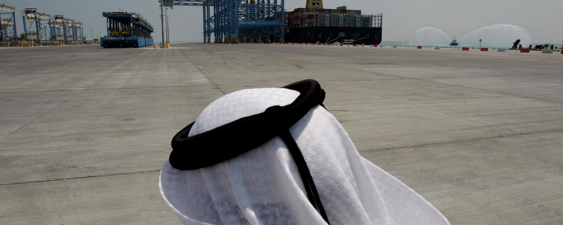 An Emirati official looks to the container cranes at the opening ceremony of the first phase of the Khalifa port, about 80 kilometers (49 miles) southwest of Abu Dhabi, United Arab Emirates, Saturday, Sept. 1, 2012. - Sputnik International, 1920, 20.11.2021