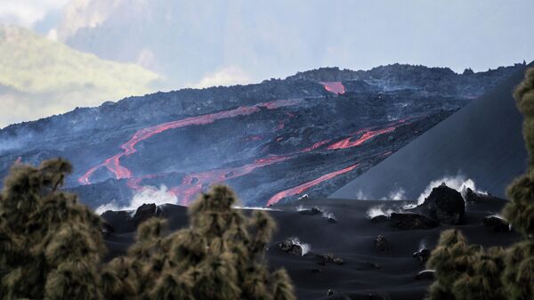  - Sputnik International