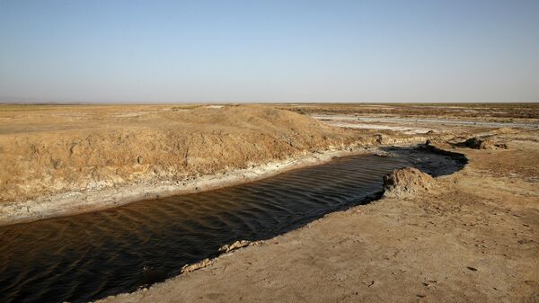 This file photo, shows one of last puddles of salty water remaining in the the Gavkhouni wetlands, which was once a swamp fed by the Zayandeh Roud river, and is now  surrounded by desicated salt-laced fields, outside the town of Varzaneh and its suburbs, home to 30,000 people, some 550 kilometers (340 miles), south of the capital Tehran, Iran.  - Sputnik International