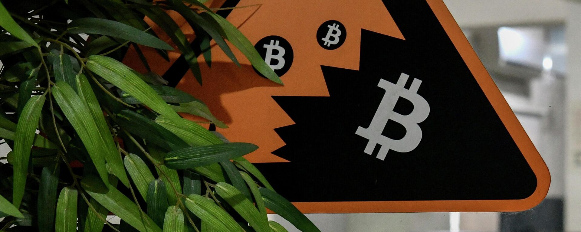 In this picture taken on November 23, 2021 an employee works on her workstation on the backdrop of the cryptocurrency symbol of Bitcoin pasted on a glass door of a private office in Bangalore - Sputnik International, 1920, 25.11.2021