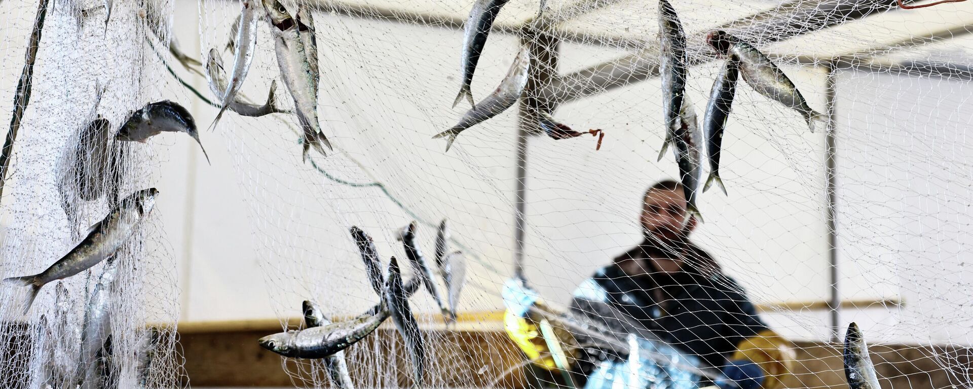 A fisherman empties a fishing net aboard the trawler Adele Camille in the port of Boulogne-sur-Mer, France, November 2, 2021 - Sputnik International, 1920, 29.11.2021