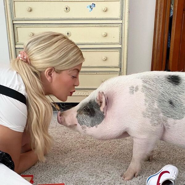 US singer and actress Tori Spelling with her pet pig; seeing that Spelling is Jewish, the pet has the added comfort that it is unlikely to appear on the family dinner table. - Sputnik International