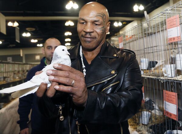 Former boxing champion Mike Tyson holds a white homing pigeon at the National Pigeon Association’s 93rd annual Grand National Pigeon Show in Ontario, California on 29 January 2015. Tyson, who had pigeons as a youngster, has 1,800 now in Nevada, New Jersey and New York. - Sputnik International