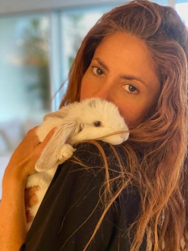 Singer Shakira is known for her athletic bouncing about on the stage so it is little surprise that she has a special place in her heart for a pet bunny. - Sputnik International